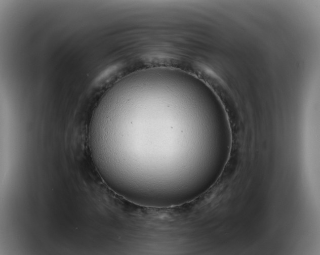 X0000086780870200704201822