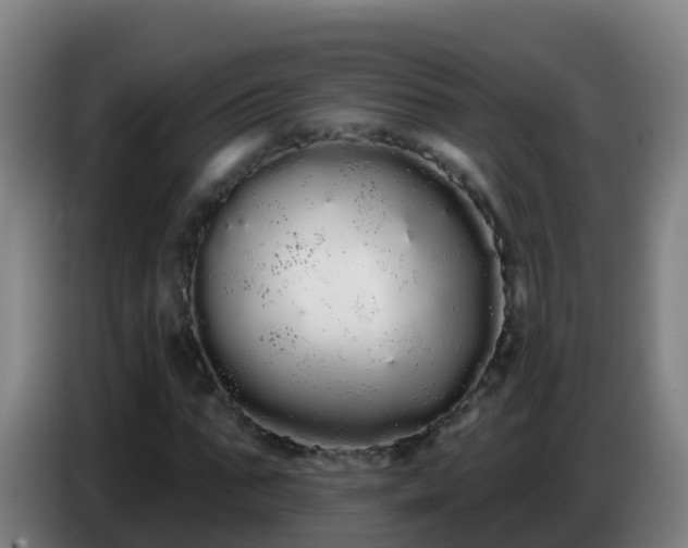 X0000086780871200704201822