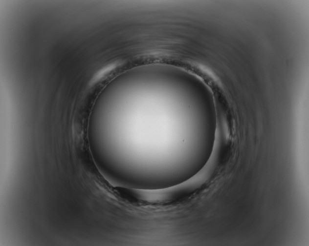 X0000086780872200704201822