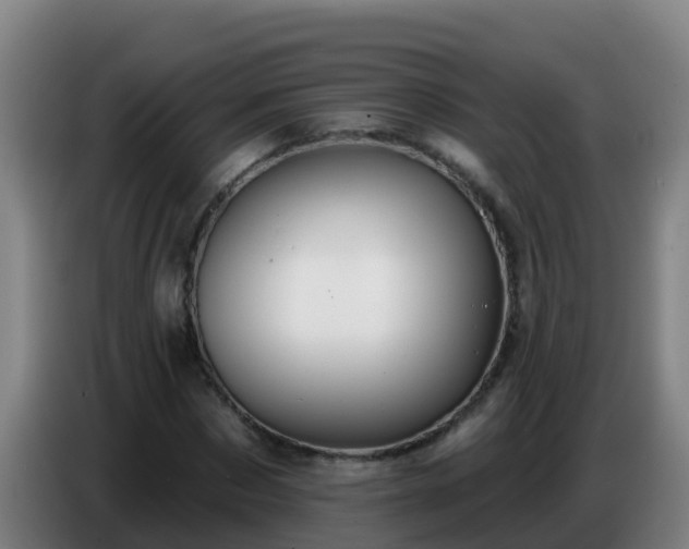 X0000086780873200704201822