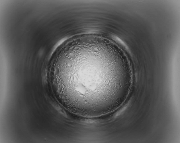 X0000086780875200704201822