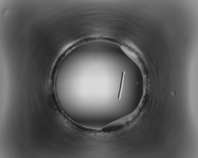 X0000086780876200704201822