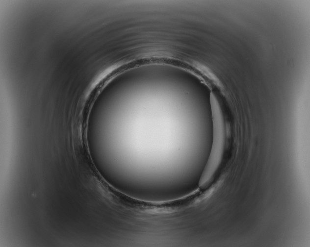 X0000086780877200704201822