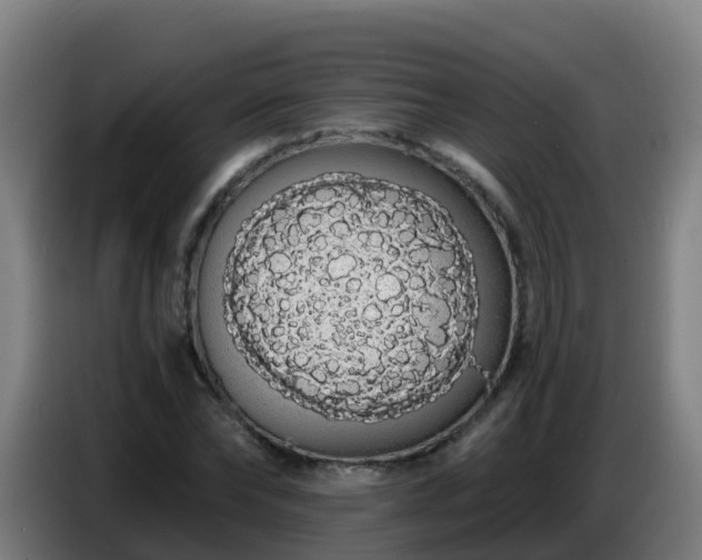 X0000086780878200704201822