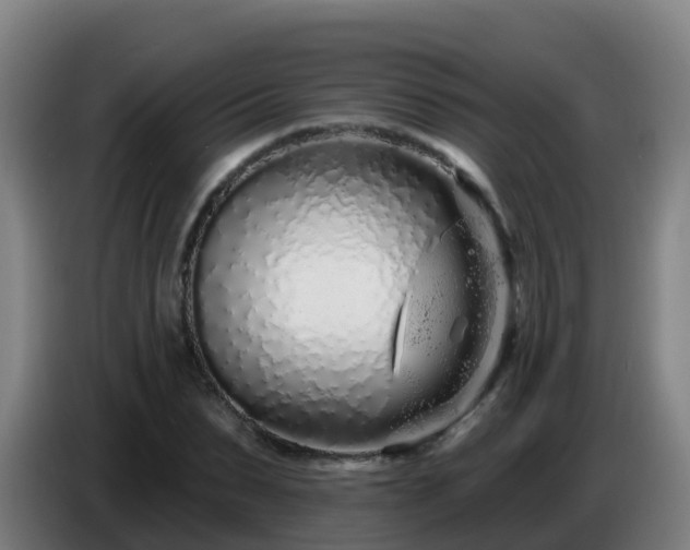 X0000086780879200704201822