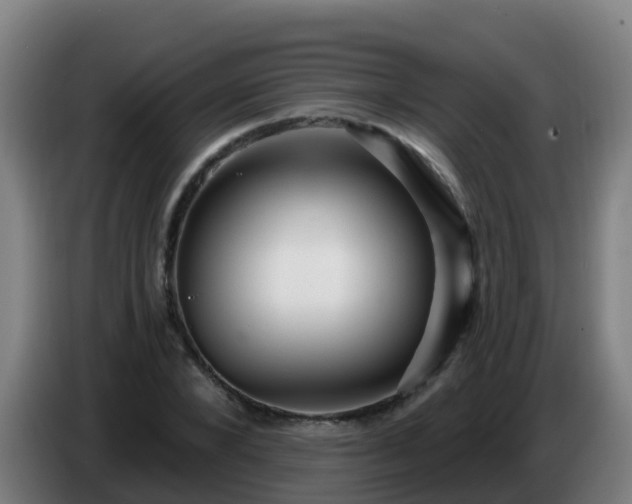 X0000086780880200704201822