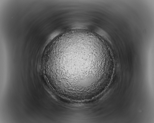 X0000086780882200704201822