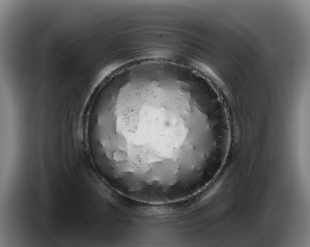 X0000086780883200704201822