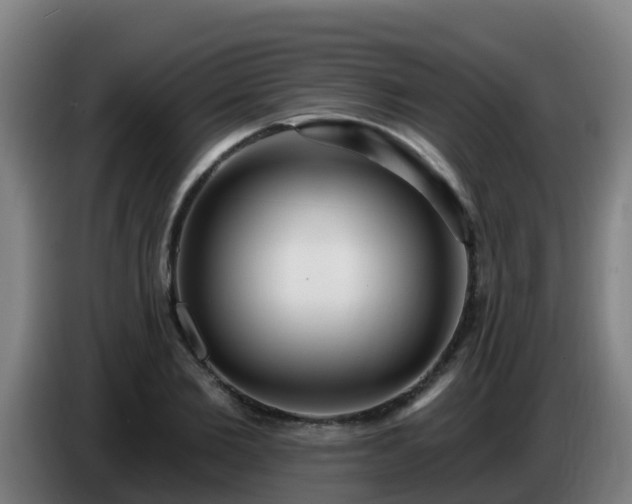 X0000086780885200704201822