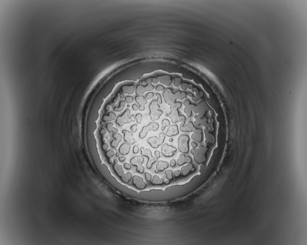 X0000086780886200704201822