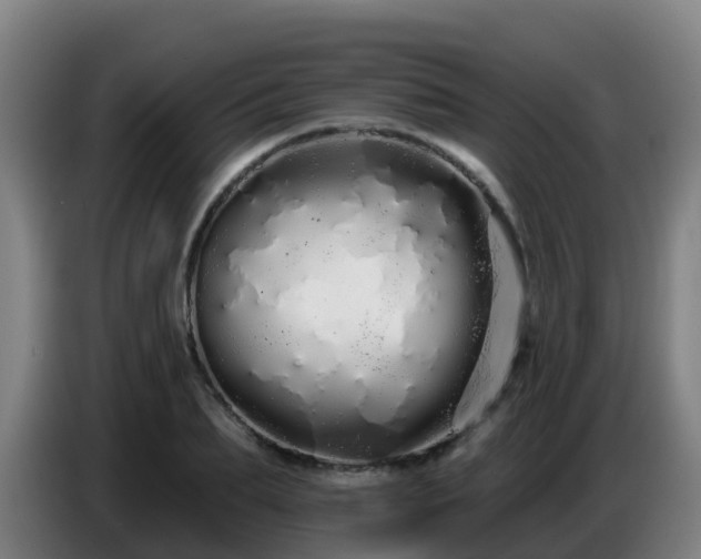 X0000086780887200704201822