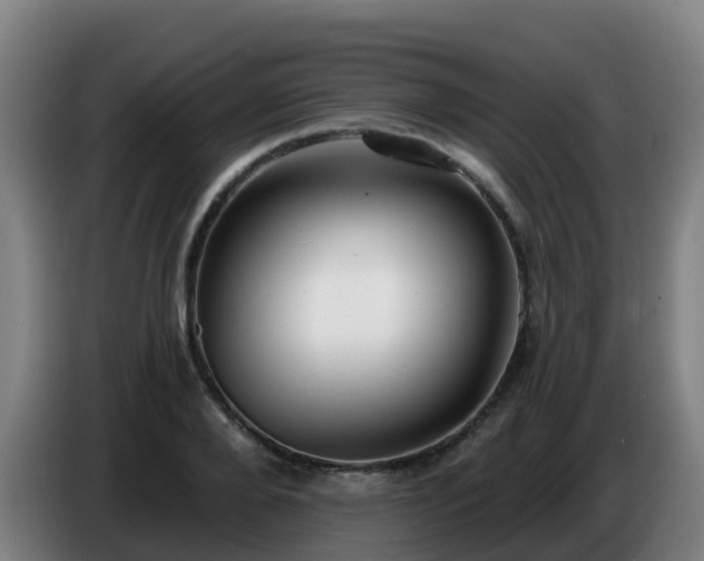 X0000086780888200704201822