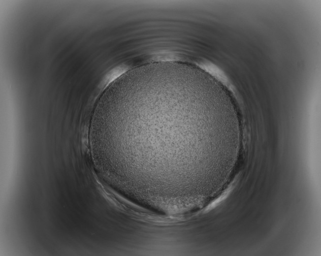 X0000086780889200704201822