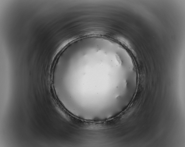 X0000086780890200704201822