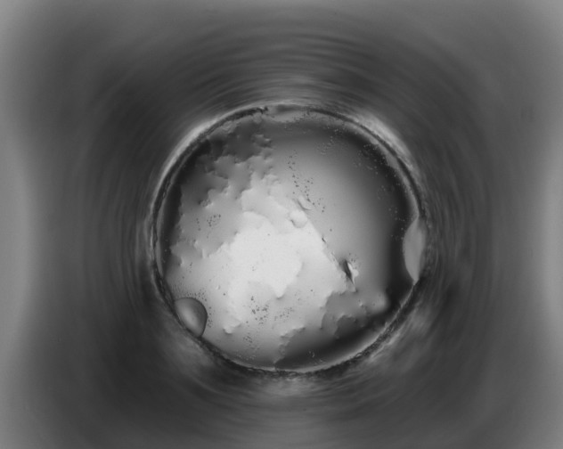 X0000086780891200704201822