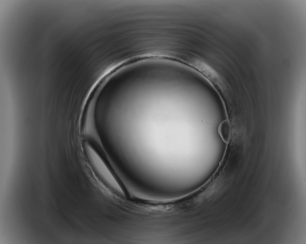 X0000086780892200704201822