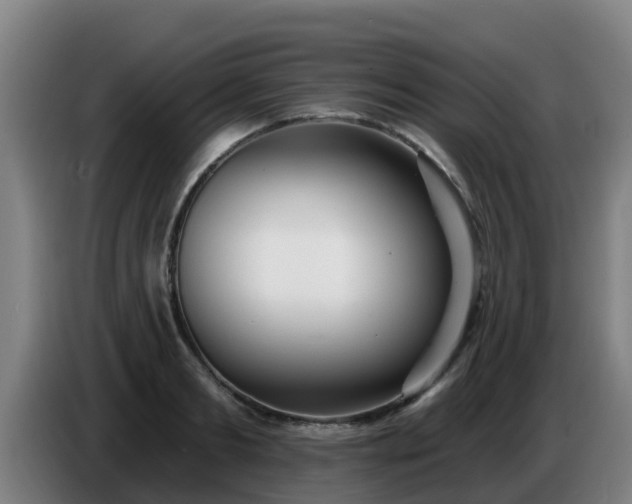 X0000086780893200704201822