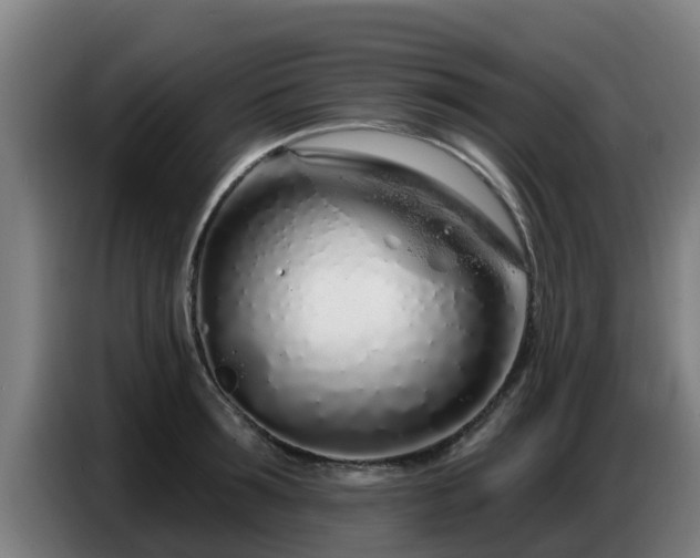 X0000086780899200704201822