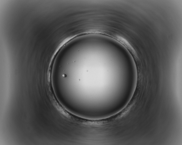 X0000086780900200704201822