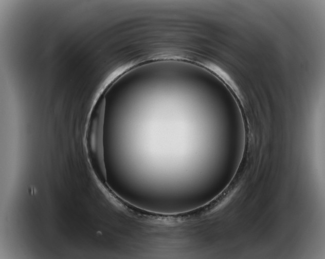 X0000086780901200704201822