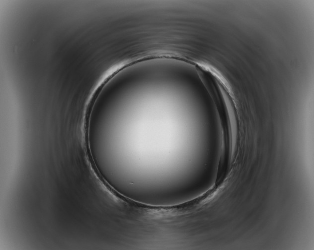 X0000086780902200704201822