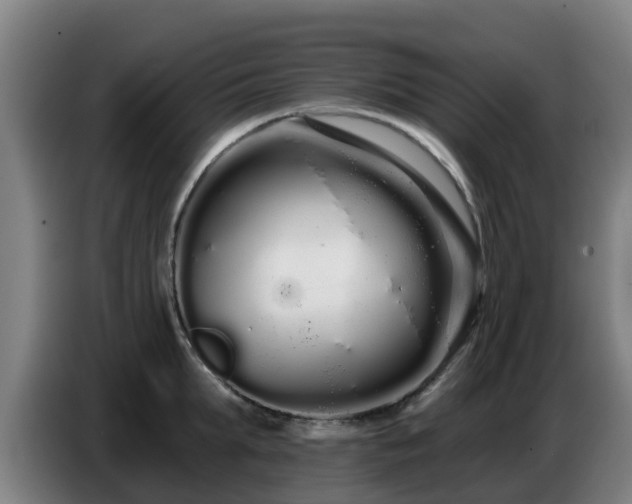 X0000086780903200704201822