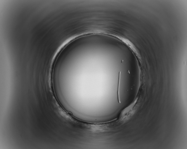 X0000086780904200704201822