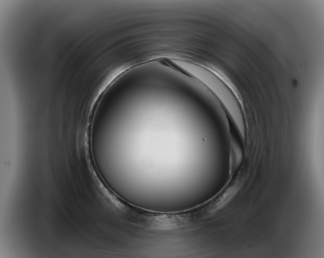 X0000086780906200704201822