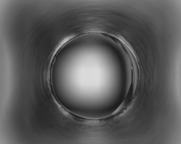 X0000086780909200704201822