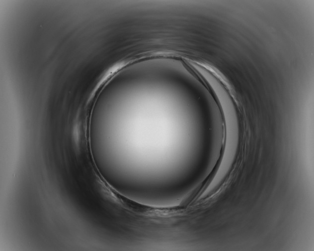 X0000086780910200704201822