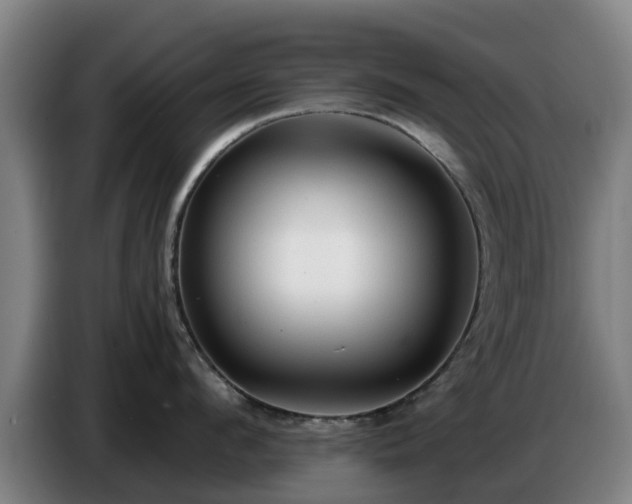 X0000086780912200704201821