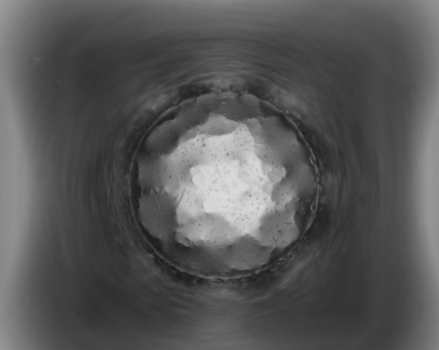 X0000086780913200704201821