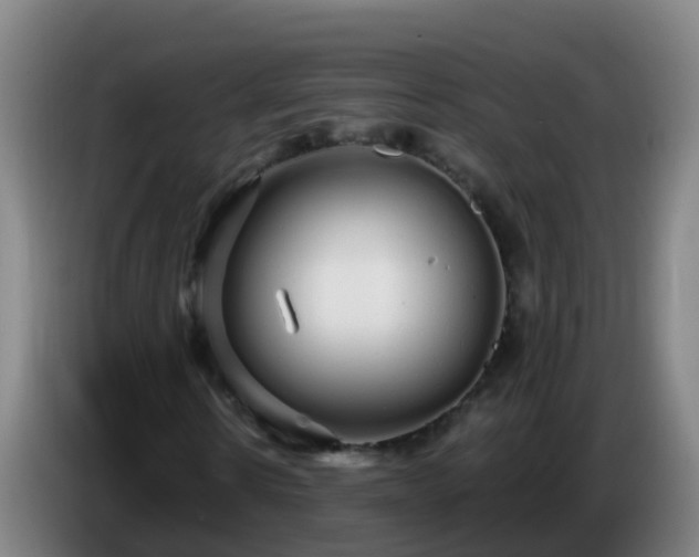 X0000086780914200704201821