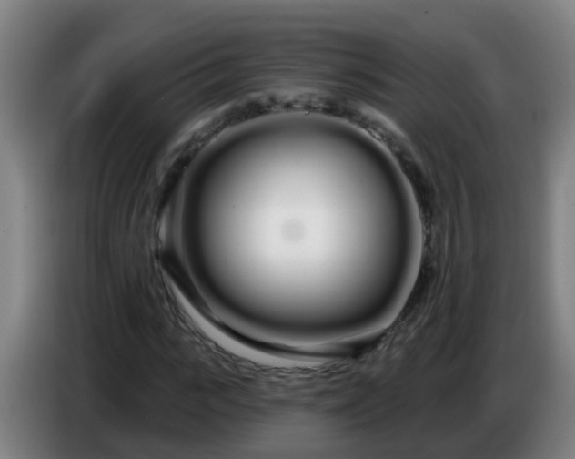 X0000086780919200704201821