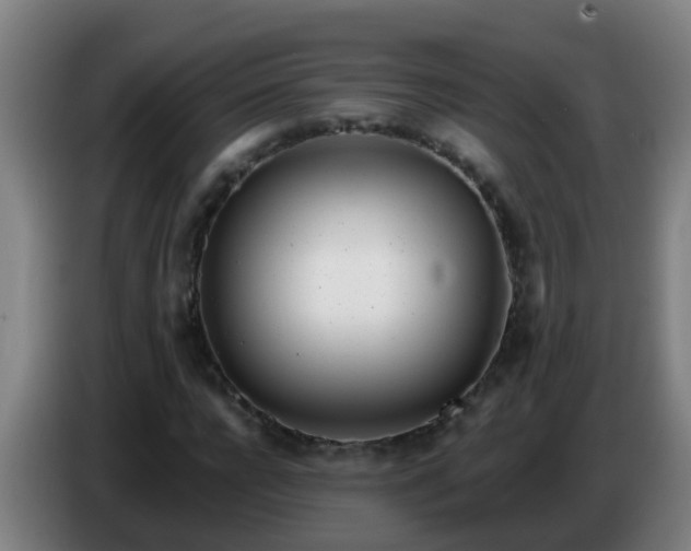 X0000086780920200704201821