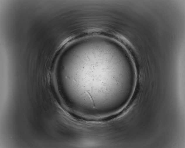 X0000086780921200704201821