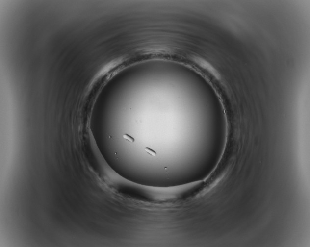 X0000086780922200704201821