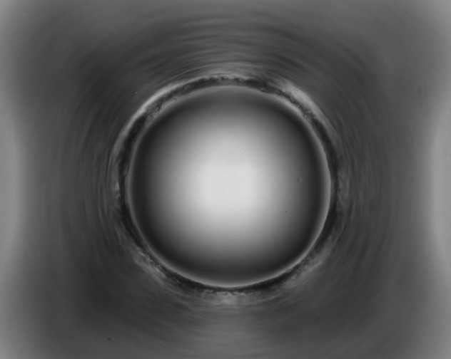 X0000086780923200704201821