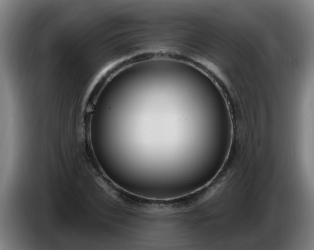 X0000086780927200704201821