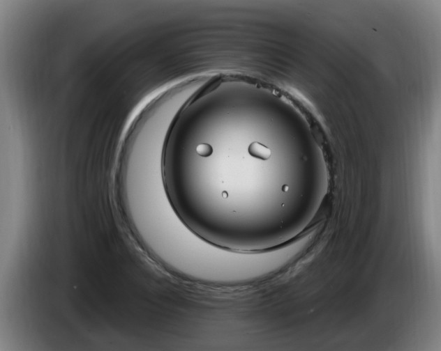 X0000086780928200704201821