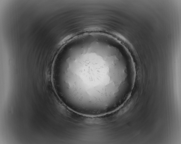 X0000086780929200704201821