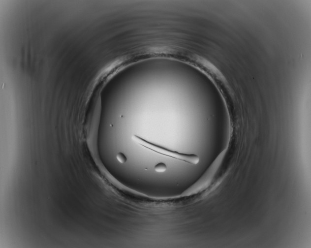 X0000086780930200704201821