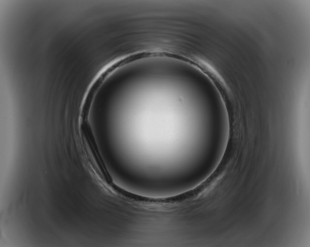 X0000086780932200704201821