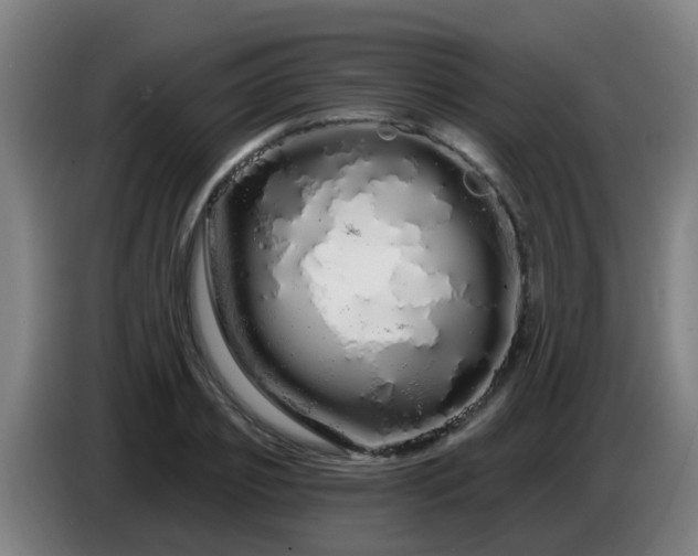 X0000086780933200704201821