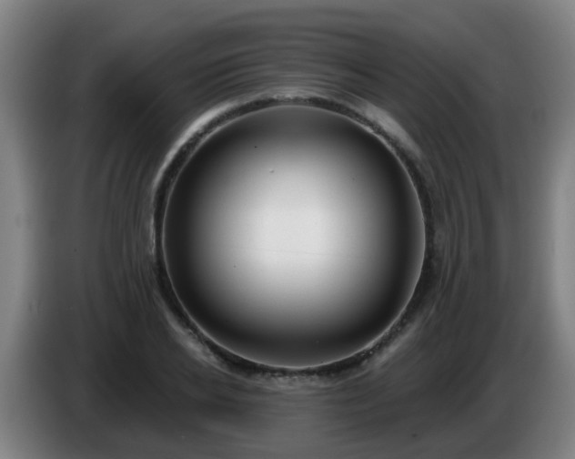 X0000086780934200704201821