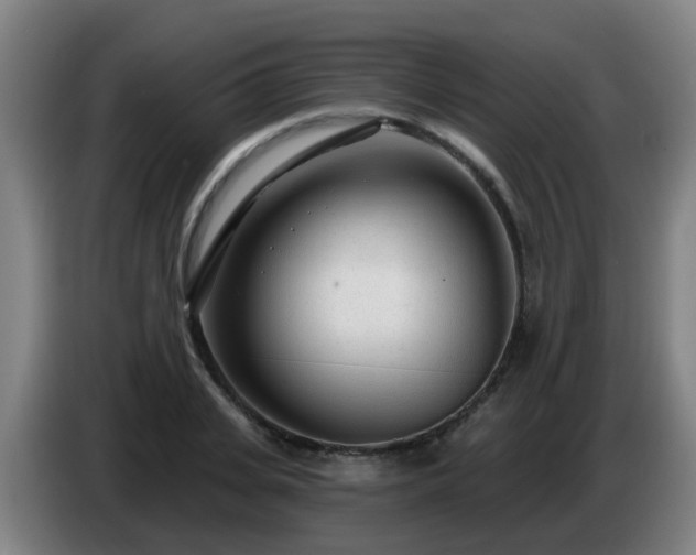 X0000086780935200704201821