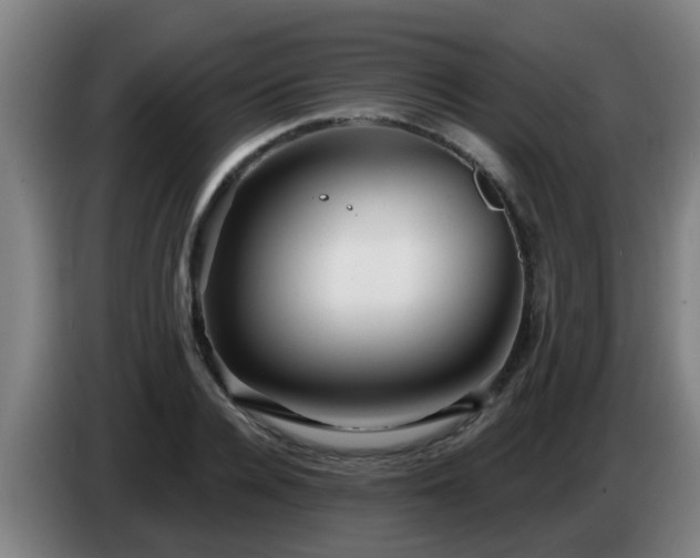 X0000086780936200704201821