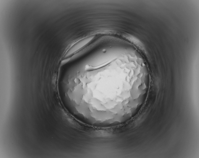 X0000086780937200704201821