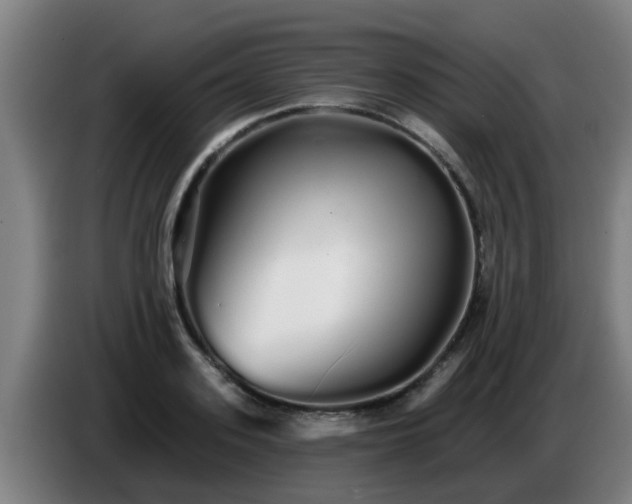 X0000086780939200704201821