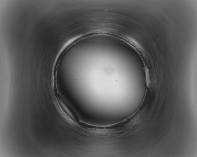 X0000086780940200704201821